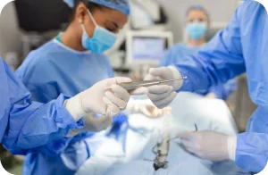 cirurgias na clínica asa veterinária