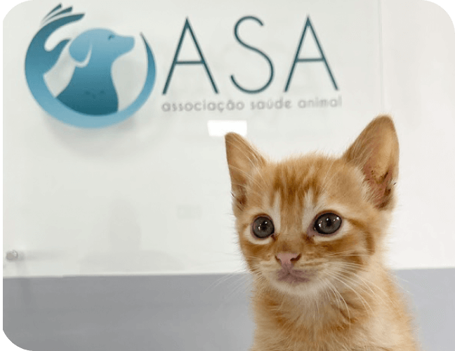 conheça a clínica veterinária asa