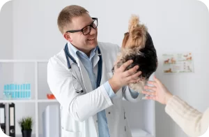 especialidades clínica asa veterinária