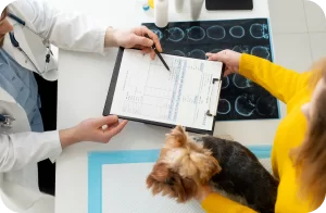 exames de imagem na clínica asa veterinária