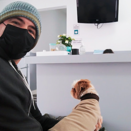 paciente veterinaria asa 1